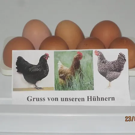 Ferienwohnung Landsknecht Volkach Buitenkant foto